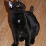 Kiki