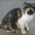 Peggy