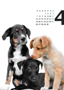 Kalendar 2010 - 04