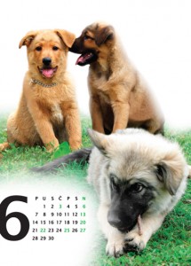 Kalendar 2010 - 06