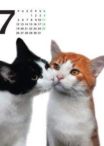 Kalendar 2010 - 07
