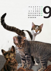 Kalendar 2010 - 09