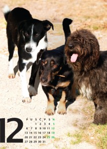 Kalendar 2010 - 12