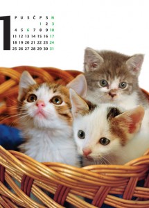 Kalendar 2010 - 01