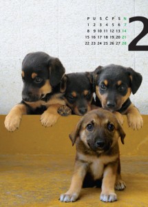 Kalendar 2010 - 02