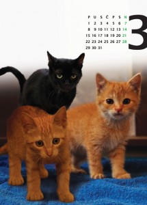 Kalendar 2010 - 03