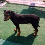 Blacky3