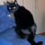 Blacky2