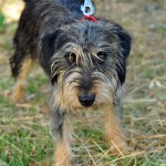DSC_0706 DSC_0706