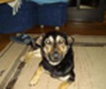 Kali