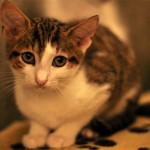 DSC_1451 DSC_1451