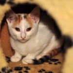 DSC_1473 DSC_1473