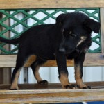 DSC_1615 DSC_1615