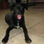 IMG_0096 IMG_0096