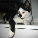 IMG_2908 IMG_2908