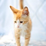 DSC_0575 DSC_0575