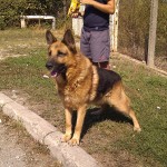 REX3