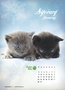Siječanj - Kalendar 2012 Siječanj - Kalendar 2012