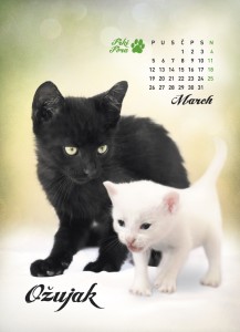 Ožujak - Kalendar 2012 Ožujak - Kalendar 2012
