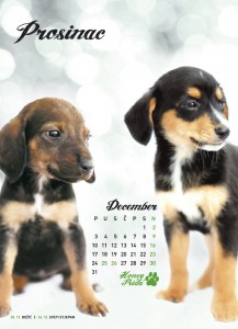 Prosinac - Kalendar 2012 Prosinac - Kalendar 2012