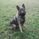 Thor1