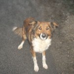 Kika_600x600_50KB