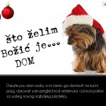 Sve što želim za Božić je DOM...