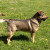 Beker_1 Beker_1