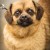 Etta_1 Etta_1
