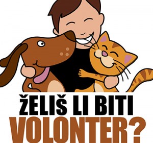 zelis-li-biti-volonter