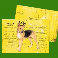 Čestitka - Tina