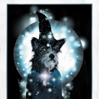 Plakat - Tom