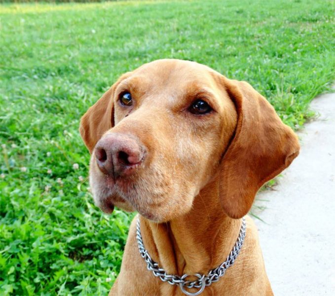 Zita
