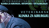Veterinarski fakultet Klinika za kirurgiju VEF Klinika za kirurgiju