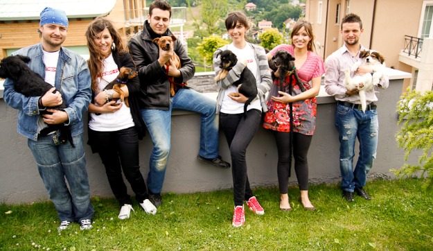 Psi iz Noine Arke kumčad HTZ-ovaca 2011.