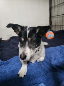 lorka_02