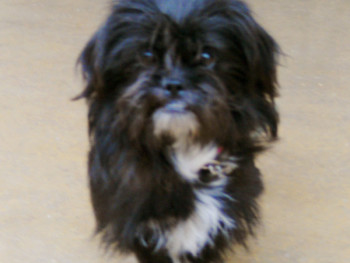 Zoe