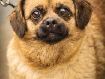 Etta