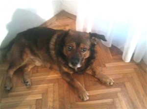 Oleg_2