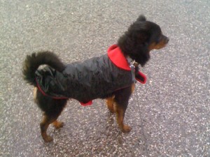 Pluto_2
