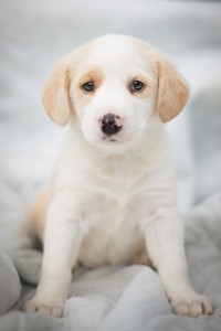 Vandy_4