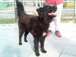 Basya_3