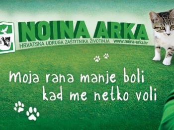 Udomljavanje ranjenih životinja je fora!