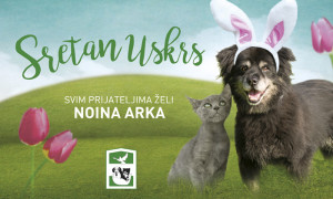 Noina-arka_Uskrs_2016