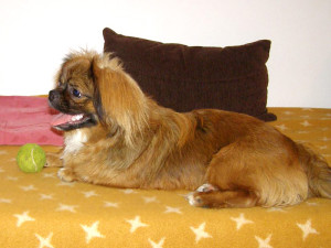 Oddo_5