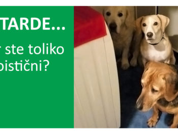 PETARDE... zar ste toliko egoistični?