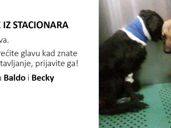 PRIČE IZ STACIONARA: Baldo i Becky