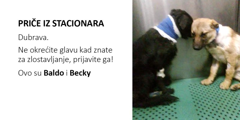 PRIČE IZ STACIONARA: Baldo i Becky