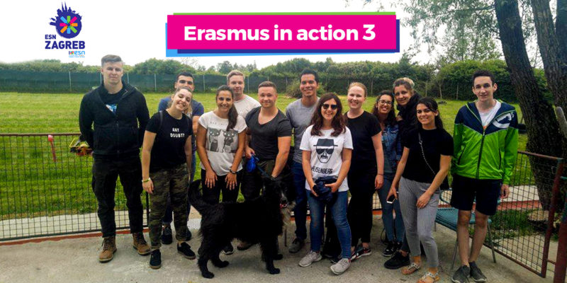 Erasmus in action - 3