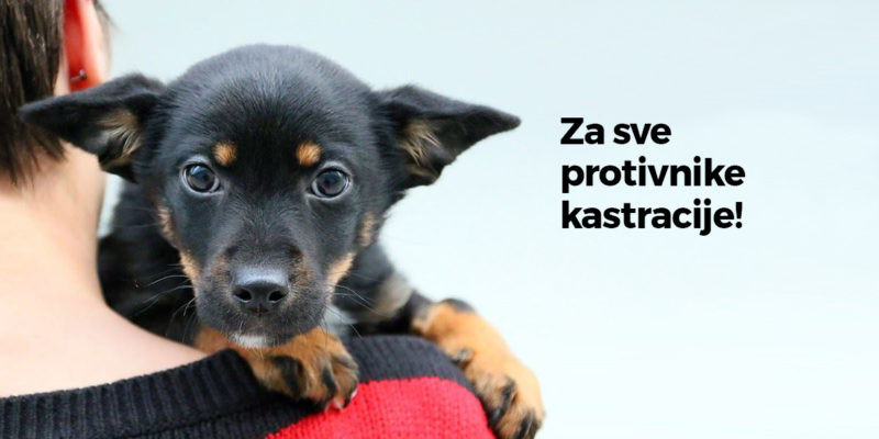 Za sve protivnike kastracije!